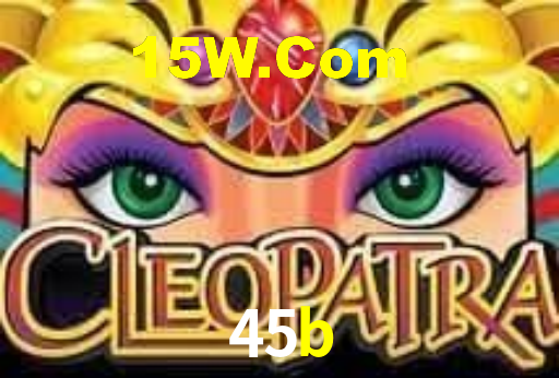 45b.com