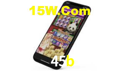 45b,45b.com